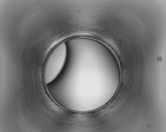 X0000091311404200708101059