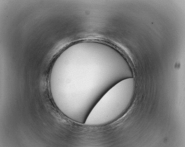 X0000091311407200708101059