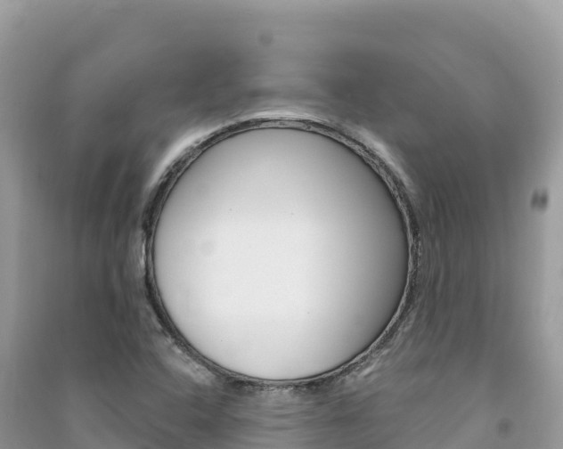 X0000091311408200708101059