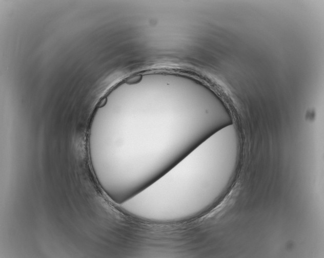 X0000091311409200708101059