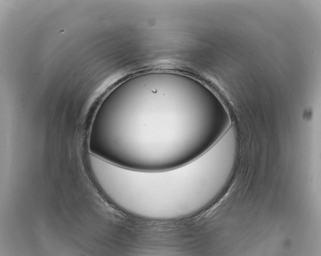 X0000091311410200708101059