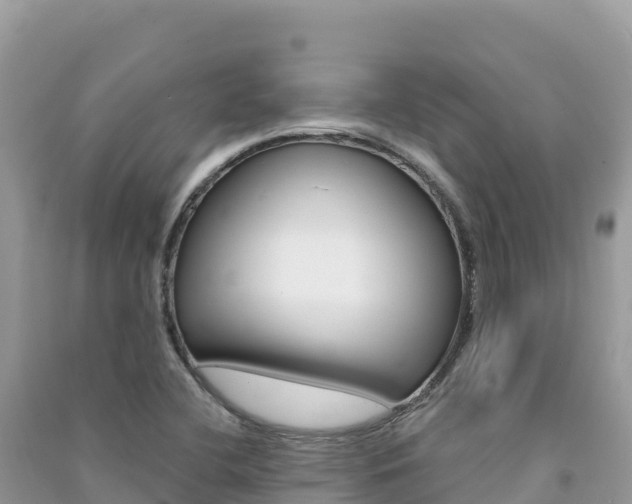 X0000091311412200708101059