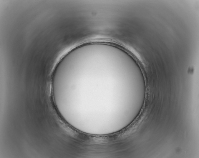 X0000091311413200708101059