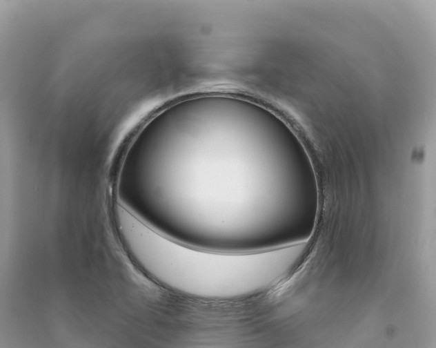 X0000091311414200708101059