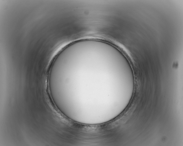 X0000091311415200708101059