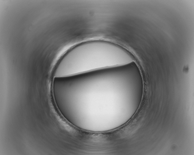 X0000091311416200708101059