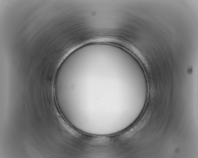 X0000091311417200708101059