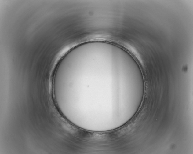 X0000091311419200708101059