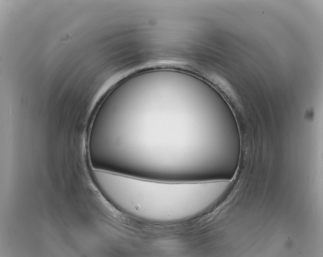 X0000091311420200708101059