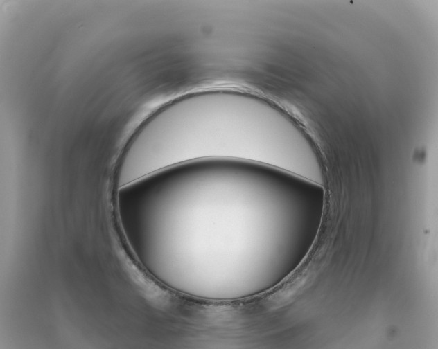X0000091311422200708101059