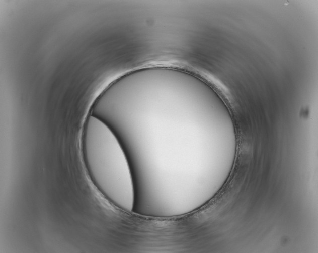 X0000091311423200708101059