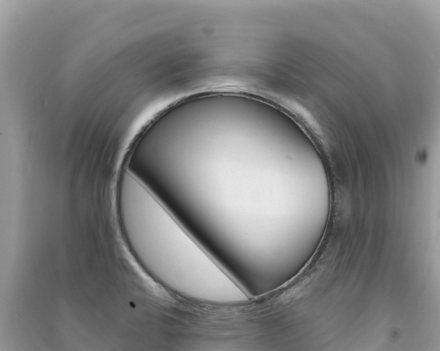 X0000091311424200708101059