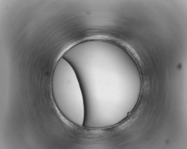 X0000091311425200708101059