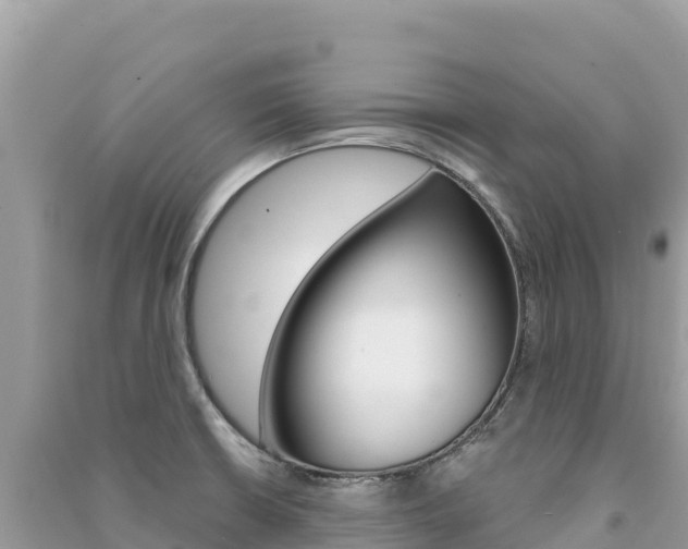 X0000091311426200708101059