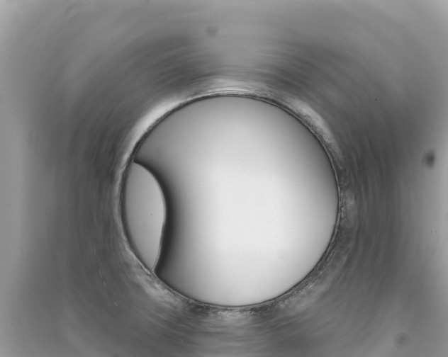 X0000091311427200708101059