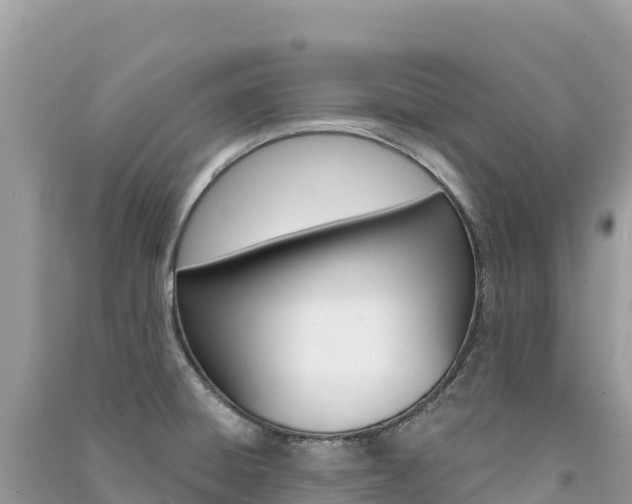 X0000091311428200708101100