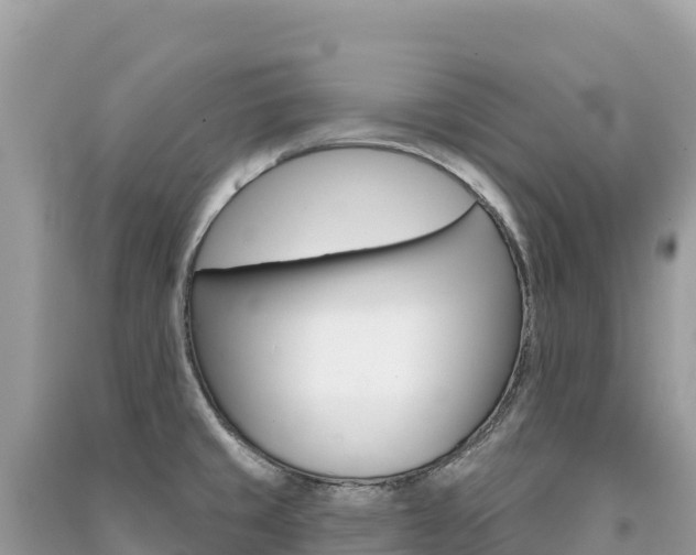 X0000091311429200708101100