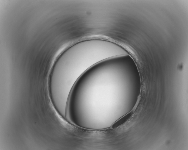 X0000091311430200708101100