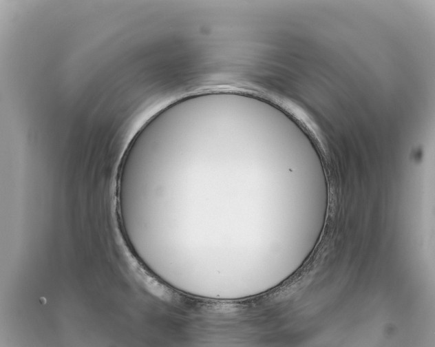 X0000091311431200708101100