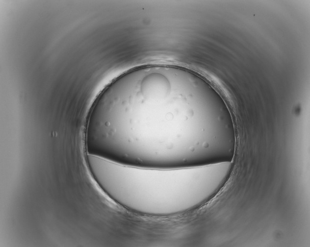 X0000091311432200708101100
