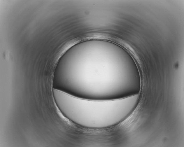 X0000091311433200708101100