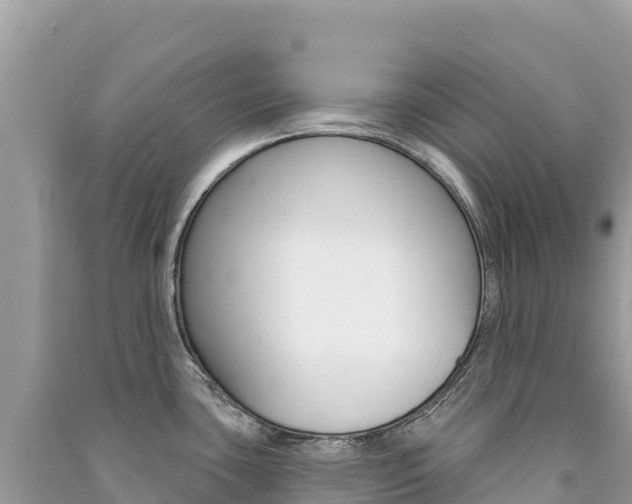 X0000091311435200708101100