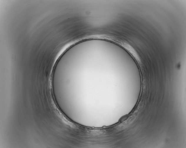 X0000091311436200708101100