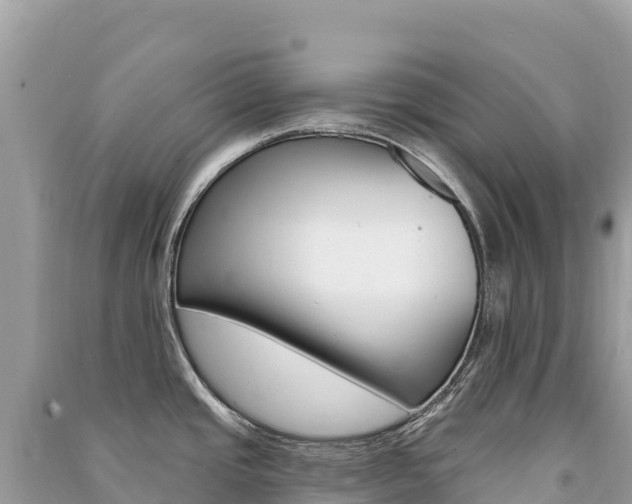 X0000091311437200708101100
