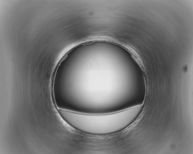 X0000091311438200708101100