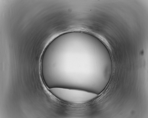 X0000091311439200708101100