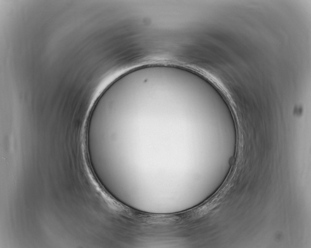 X0000091311440200708101100