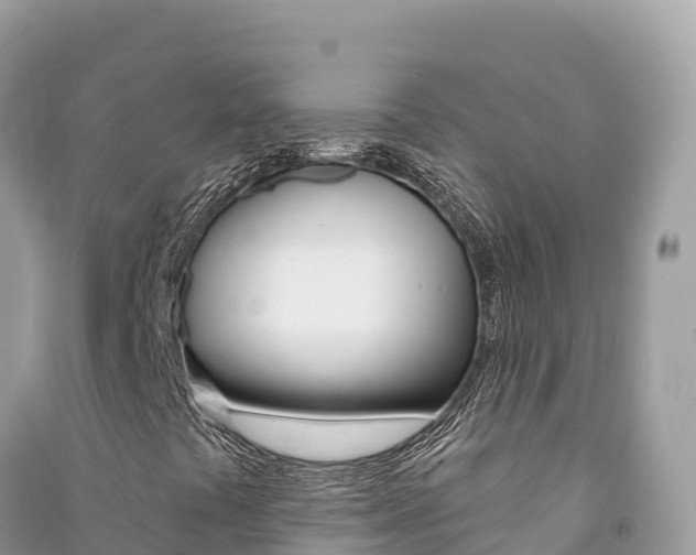 X0000091311441200708101059