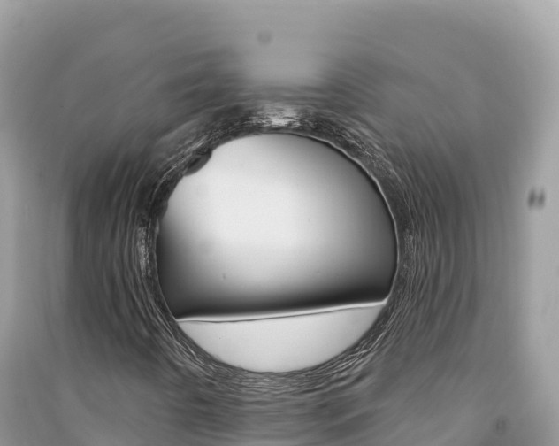 X0000091311442200708101059