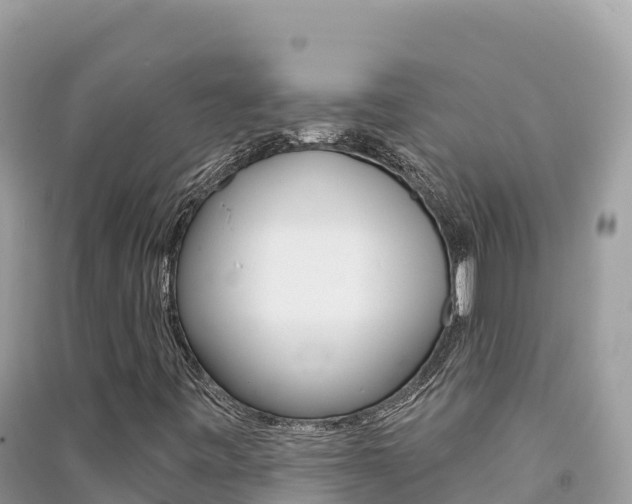 X0000091311443200708101059