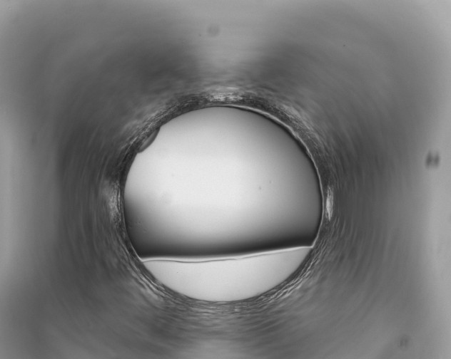X0000091311444200708101059