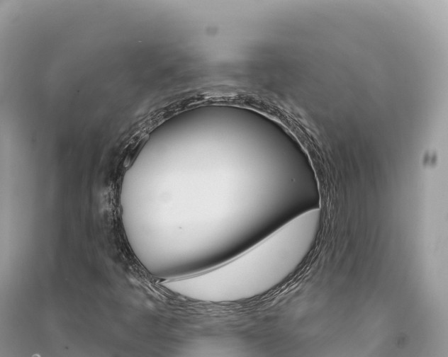 X0000091311445200708101059