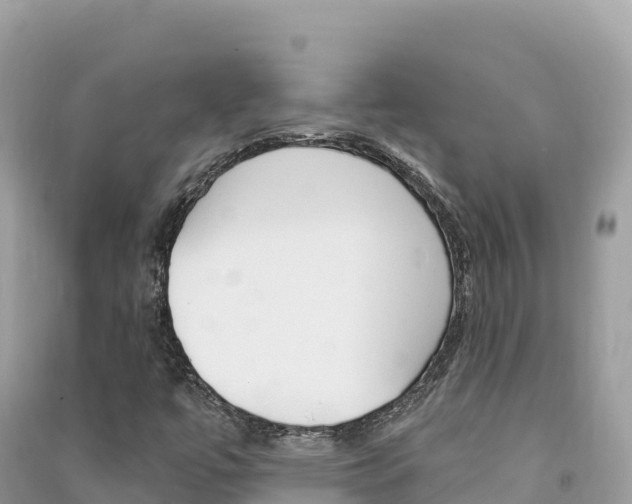 X0000091311447200708101059