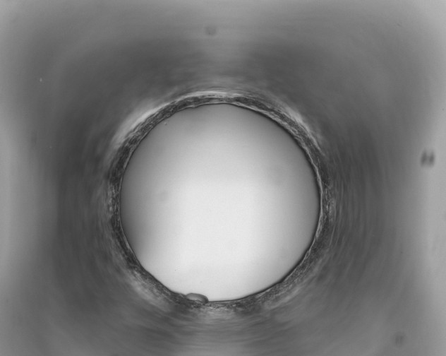X0000091311448200708101059