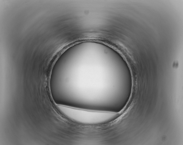 X0000091311449200708101059