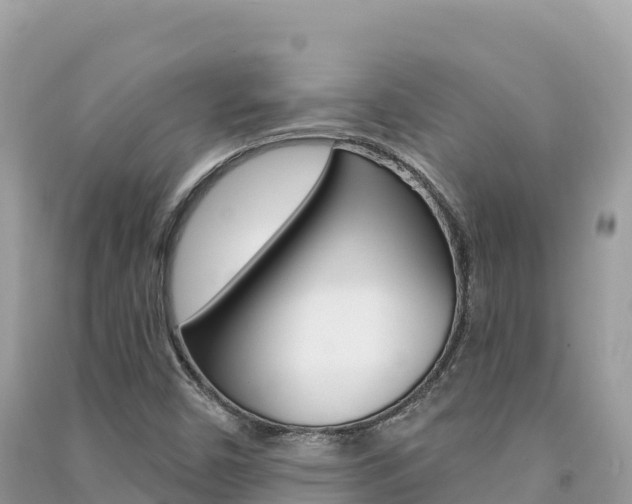 X0000091311450200708101059
