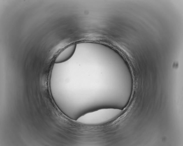 X0000091311451200708101059