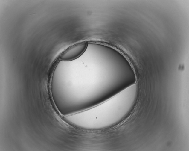 X0000091311452200708101059