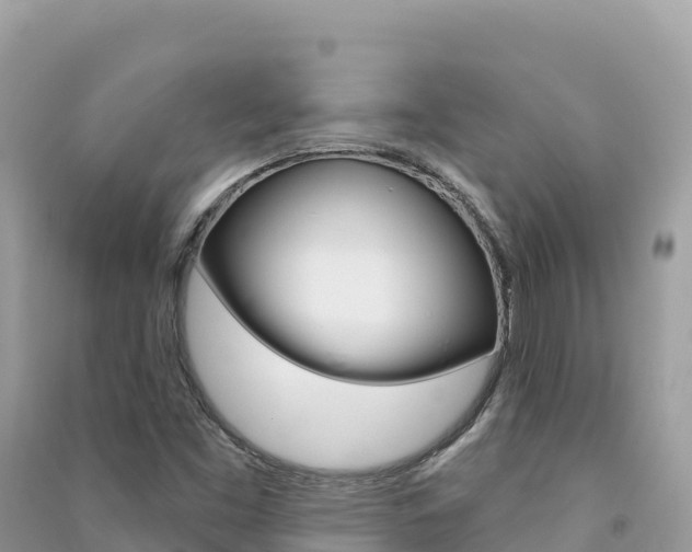 X0000091311453200708101059