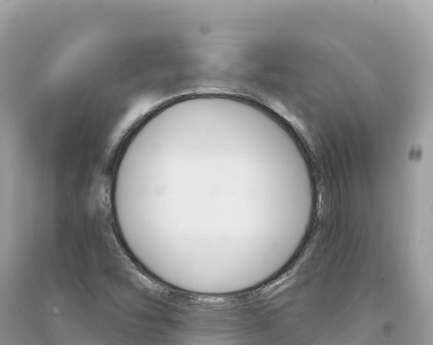 X0000091311454200708101059