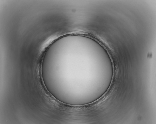 X0000091311455200708101059