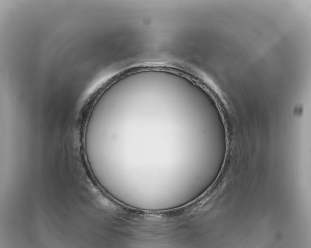 X0000091311456200708101059