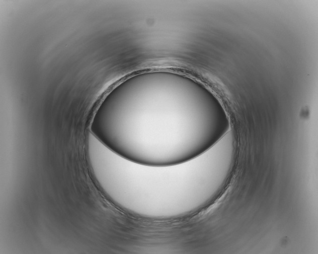 X0000091311457200708101059