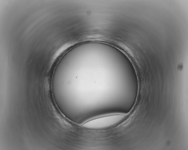 X0000091311458200708101059
