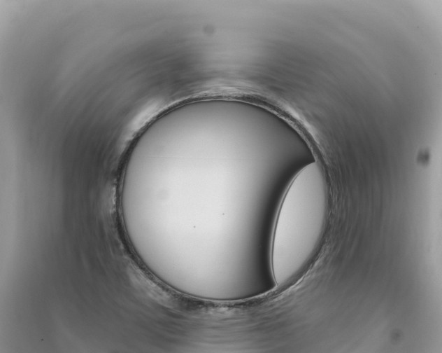 X0000091311459200708101059