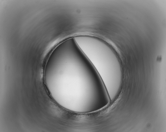 X0000091311461200708101059